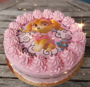Dort tlapková patrola bez lepku a mléka velikost L 25cm
